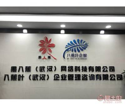 八蕉葉 武漢稅務(wù)代理的專(zhuān)業(yè)伙伴，助力企業(yè)穩(wěn)健成長(zhǎng)