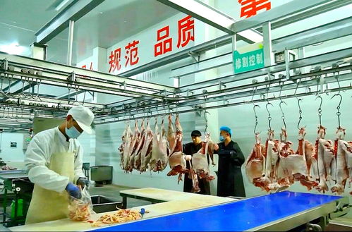 寧夏“身價(jià)百億”的羊 運(yùn)動(dòng)咨詢服務(wù)如何煉成產(chǎn)業(yè)傳奇