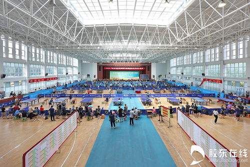 核力乒乓，共贏綠色未來 2024核能科普宣傳杯全民健身乒乓球大獎(jiǎng)賽圓滿落幕